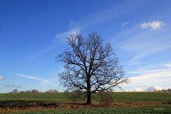 Raus in die Natur