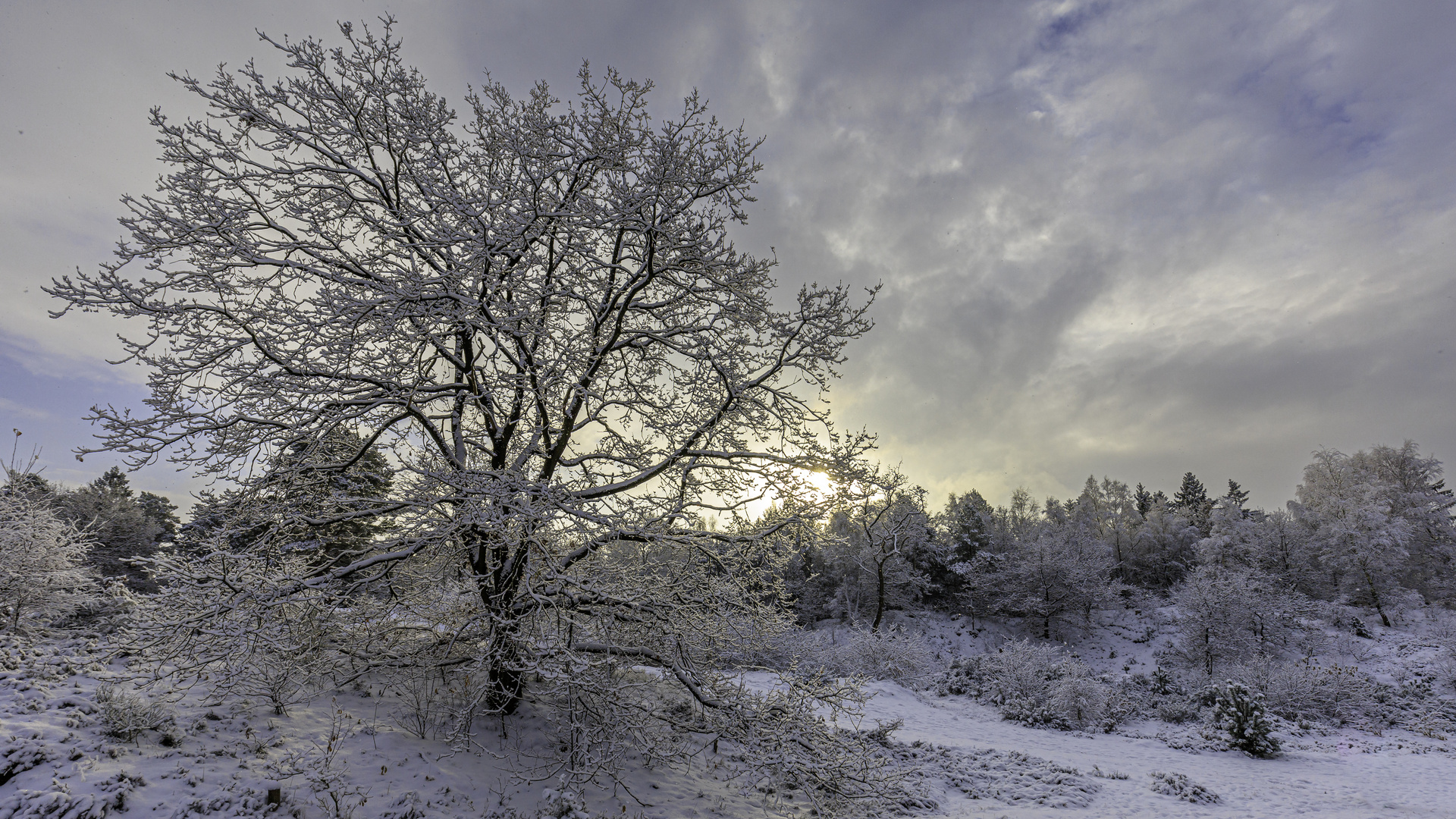 raus in die natur