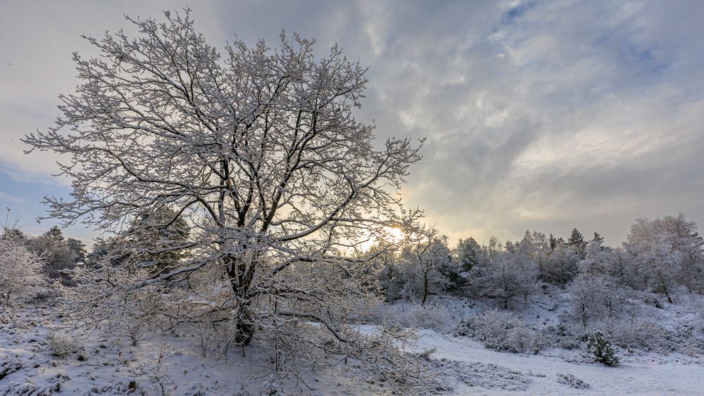 raus in die natur