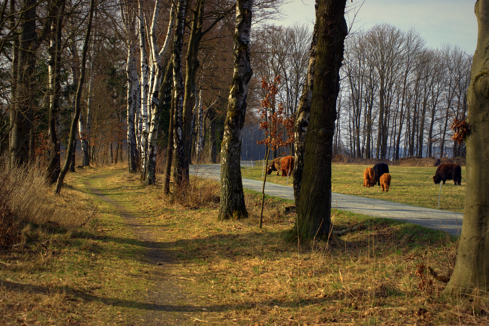 Raus in die Natur