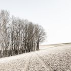 raus in die natur geht immer