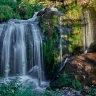 Rauschen im Schwarzwald