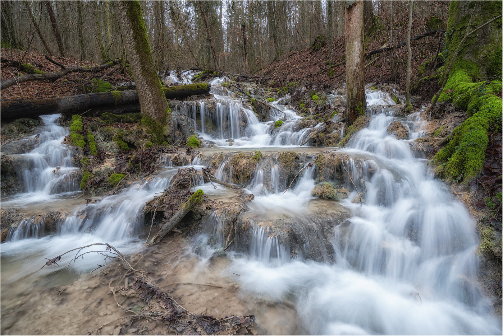 Rauschen im Wald