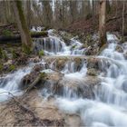 Rauschen im Wald