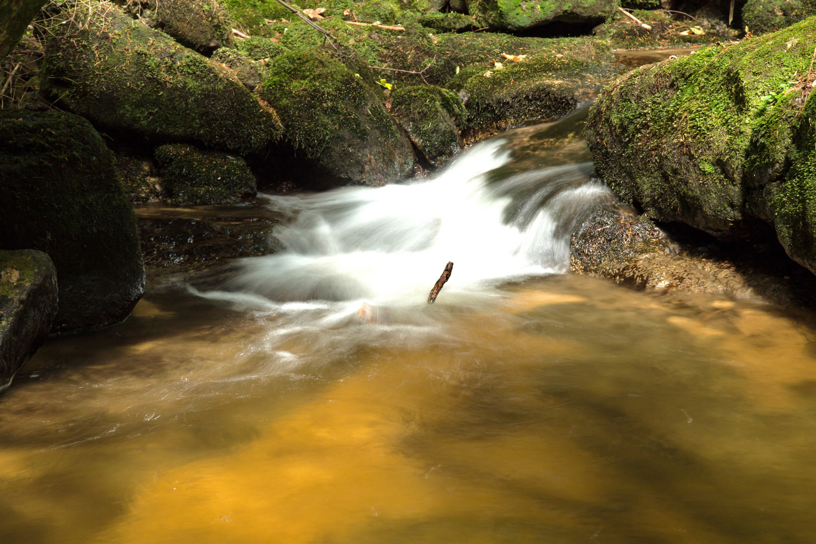 Rauschen in der Ysperklamm