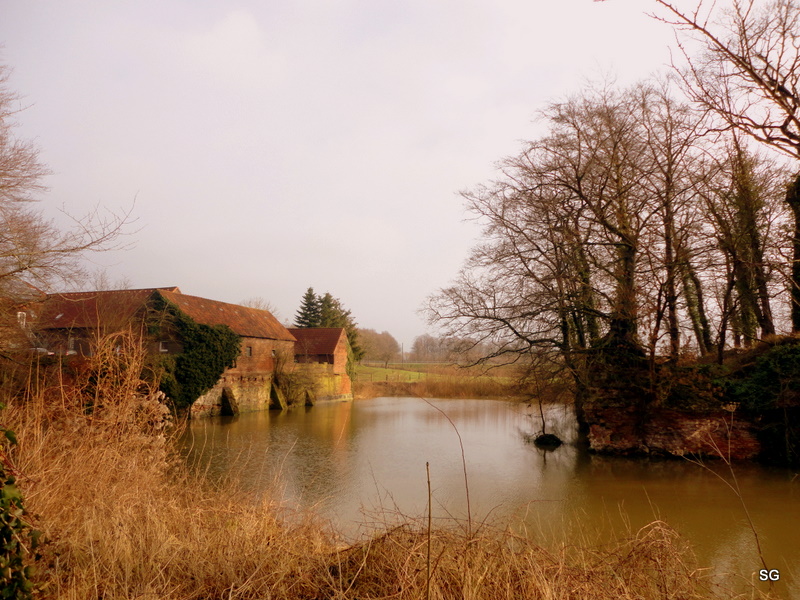 Rauschenburg; Januar 2012 - Bild 2