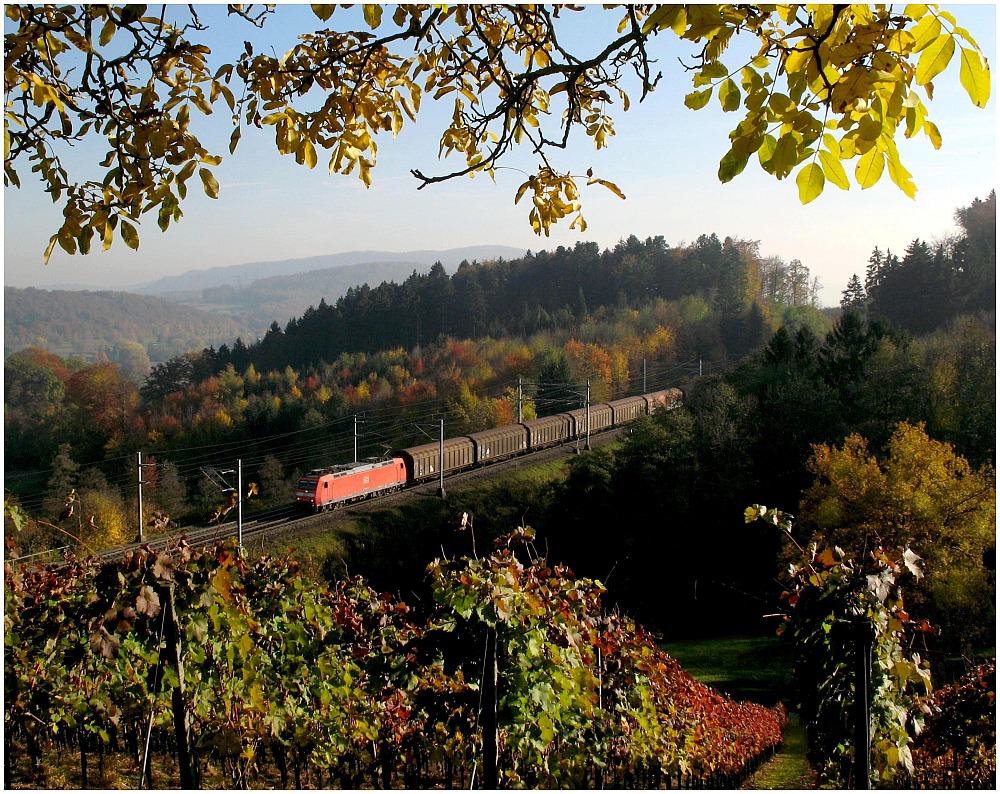 Rauschende Blätter und Bahn