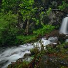 rauschende Stimmung am Wasserfall