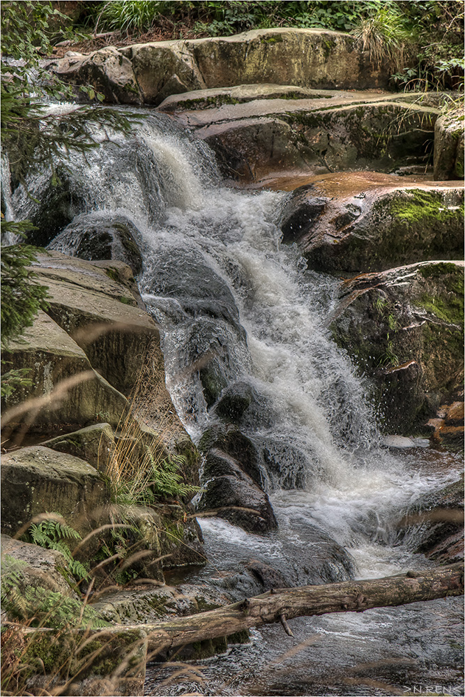 Rauschende Wasser