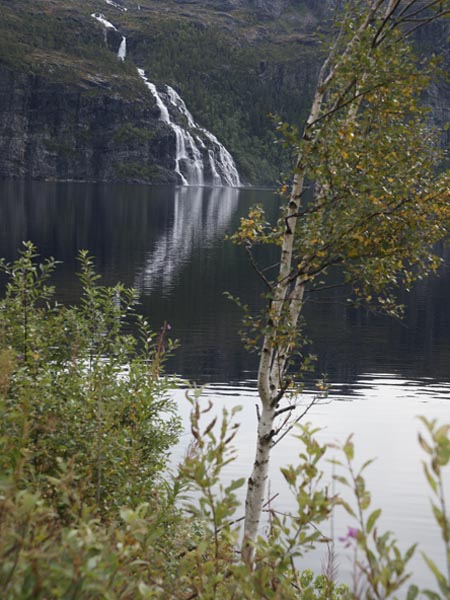 Rauschende Wasser