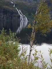 Rauschende Wasser