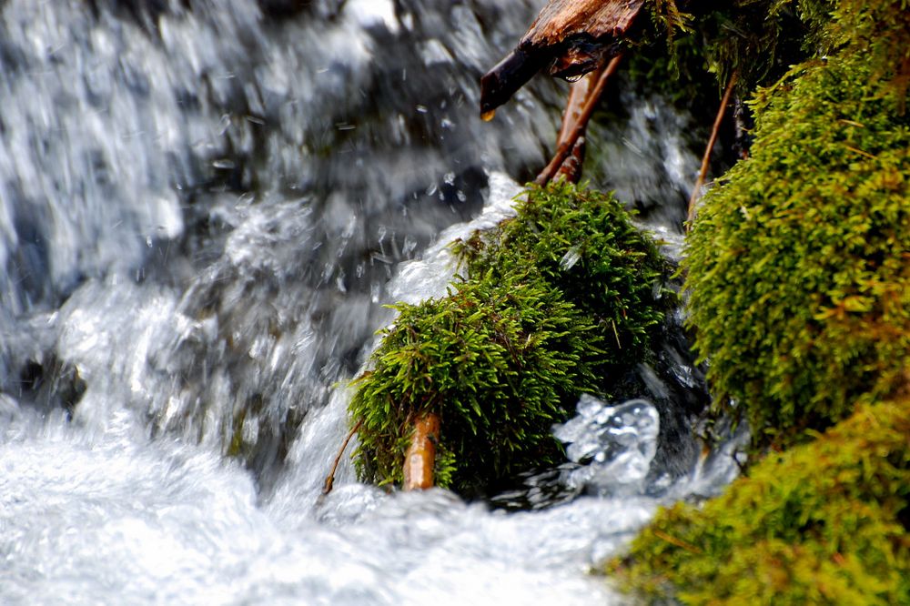 Rauschende Wasser