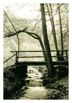 Rauschender Bach im Herbst