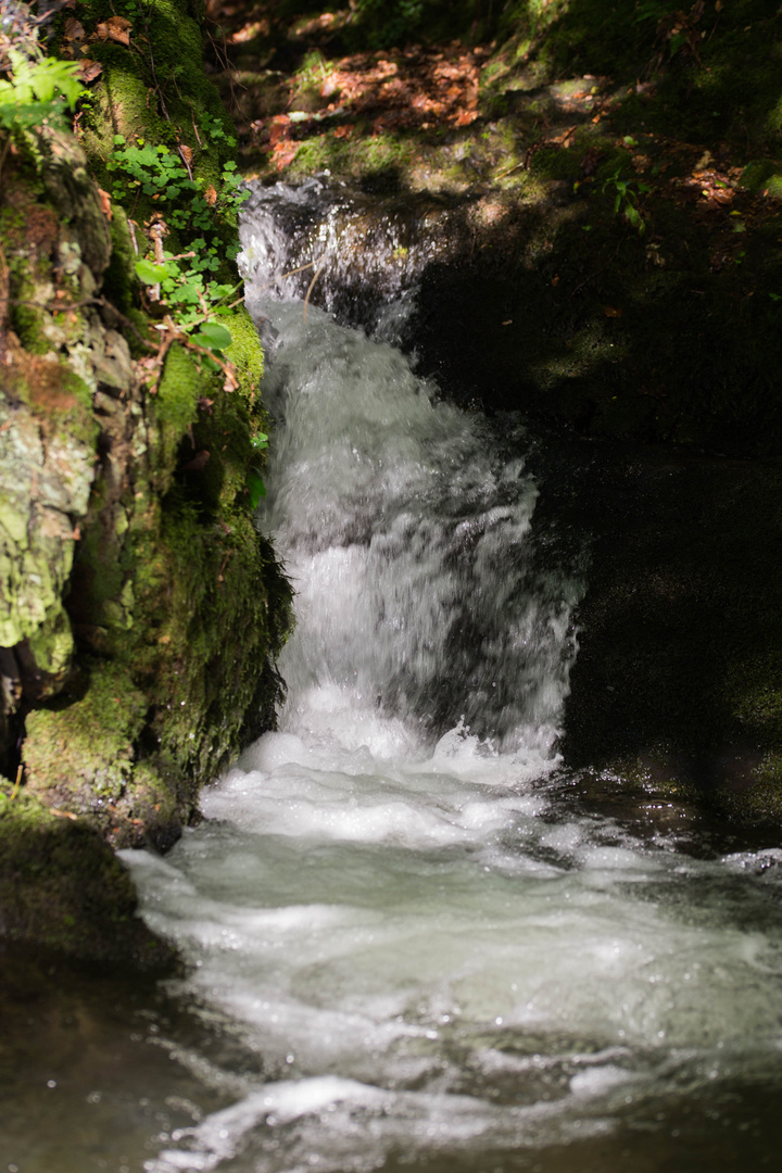 rauschender Wasserfall