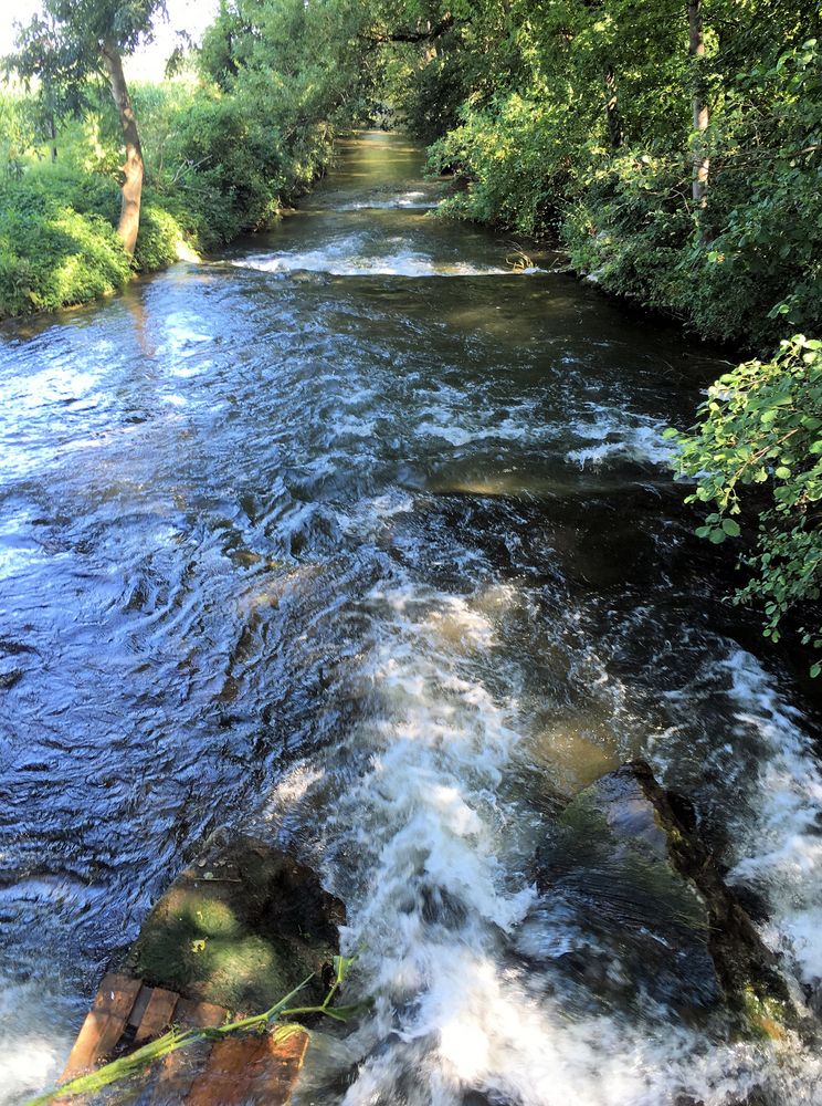 Rauschendes Wasser