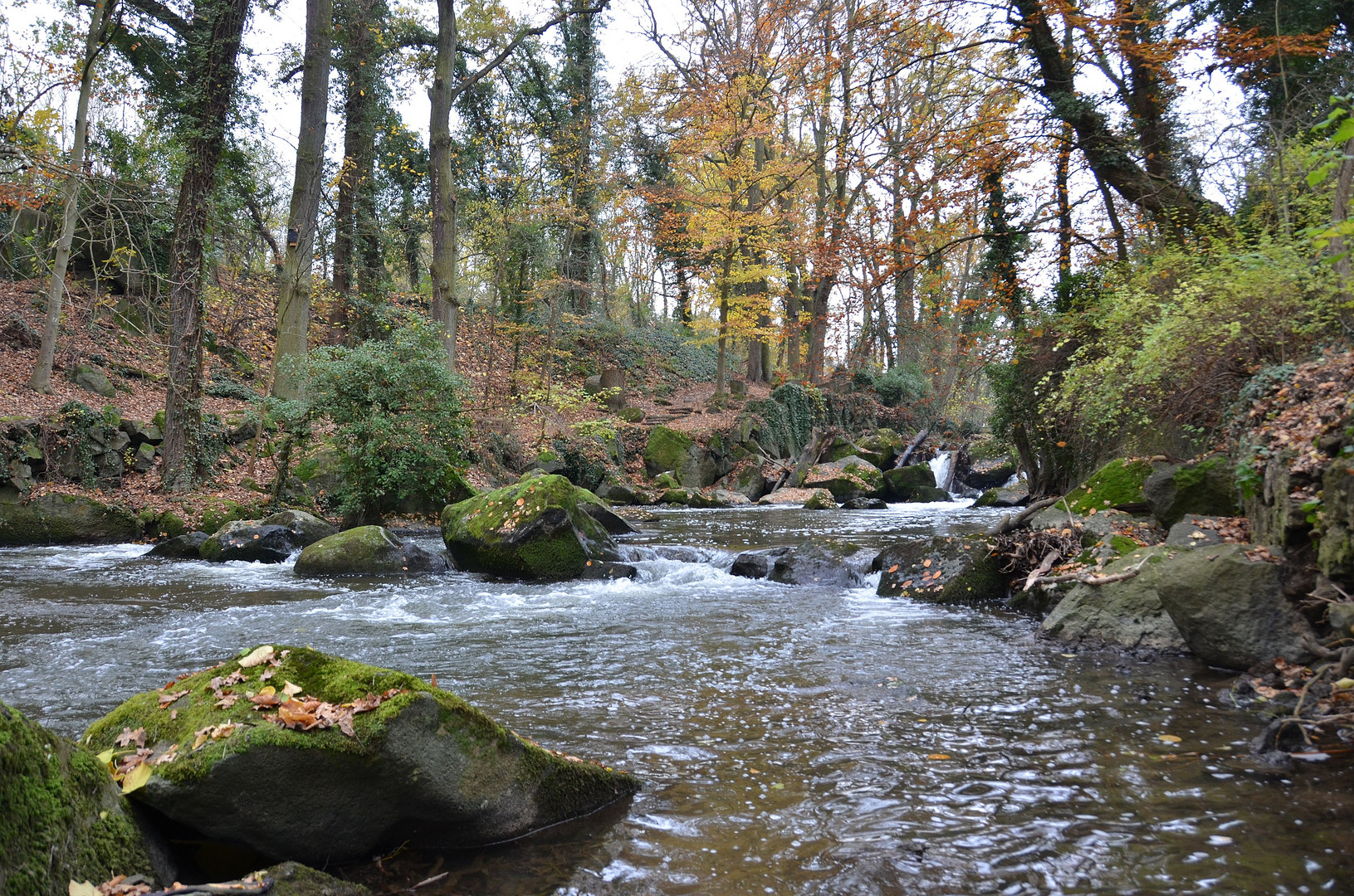 Rauscherpark Plaidt 1