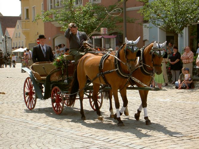 rausgeputzt zum Korso