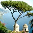 Ravello