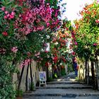 Ravello, bergauf