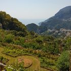 Ravello III