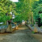 Ravello: Villa Cimbrone