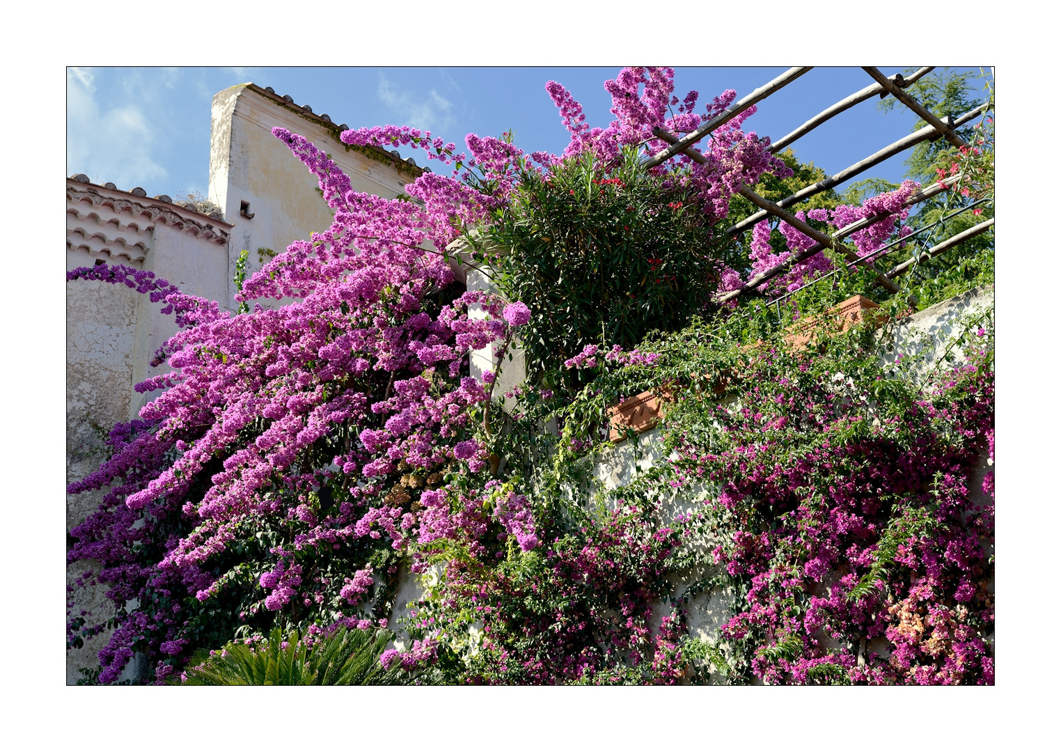 ravello - villa rufolo - klingsors garten