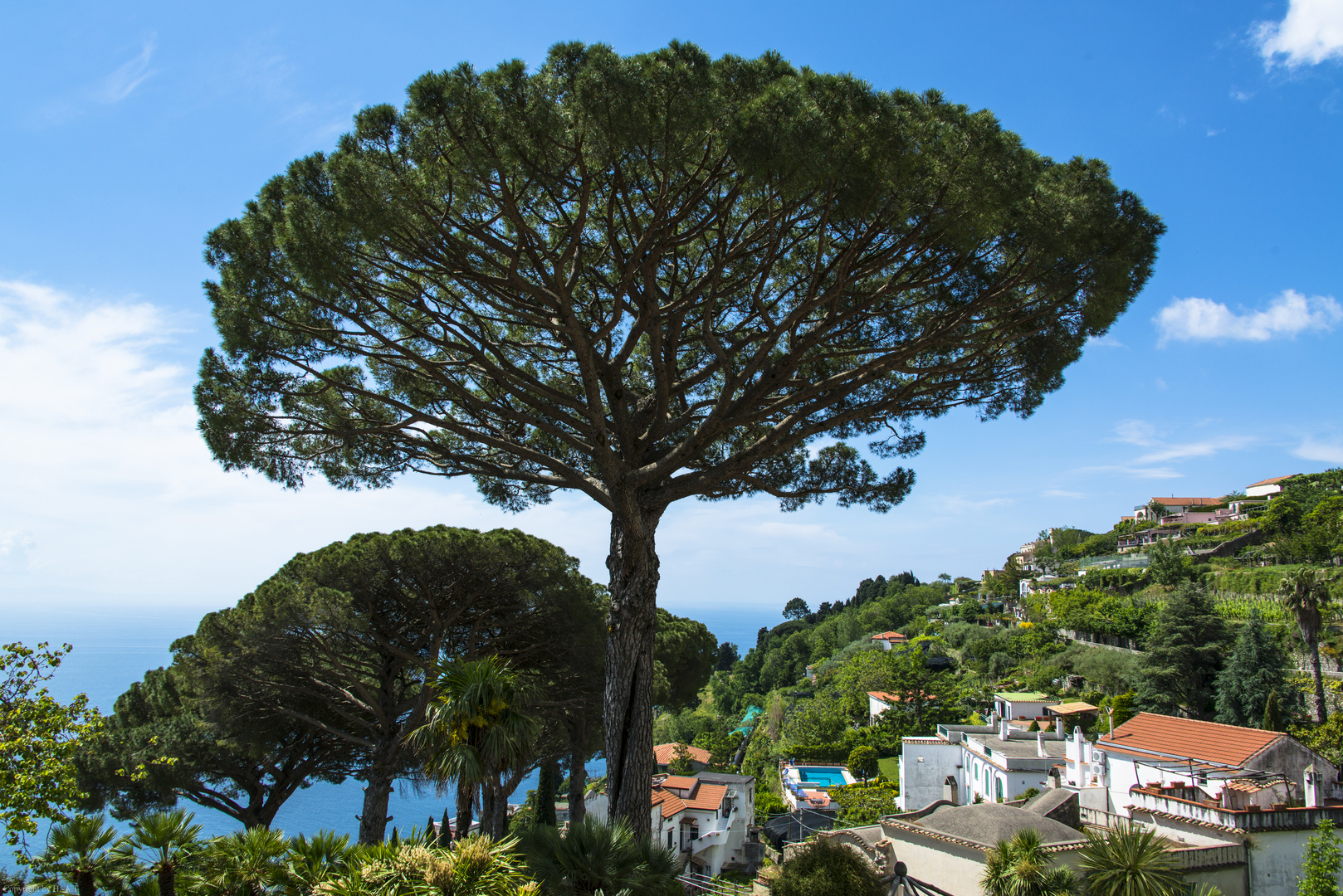 Ravello - Villa Rufolo Terrassenblick -