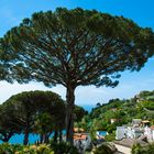 Ravello - Villa Rufolo Terrassenblick -