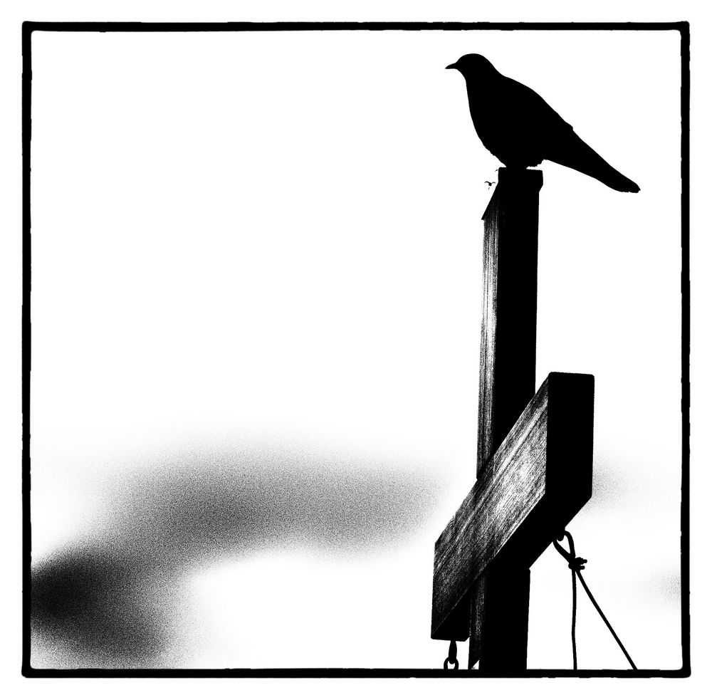 Raven on the cross