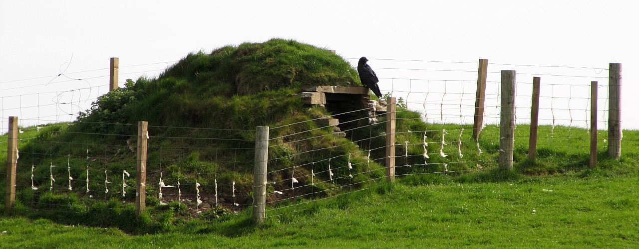 Raven, the Guard of the Tomb