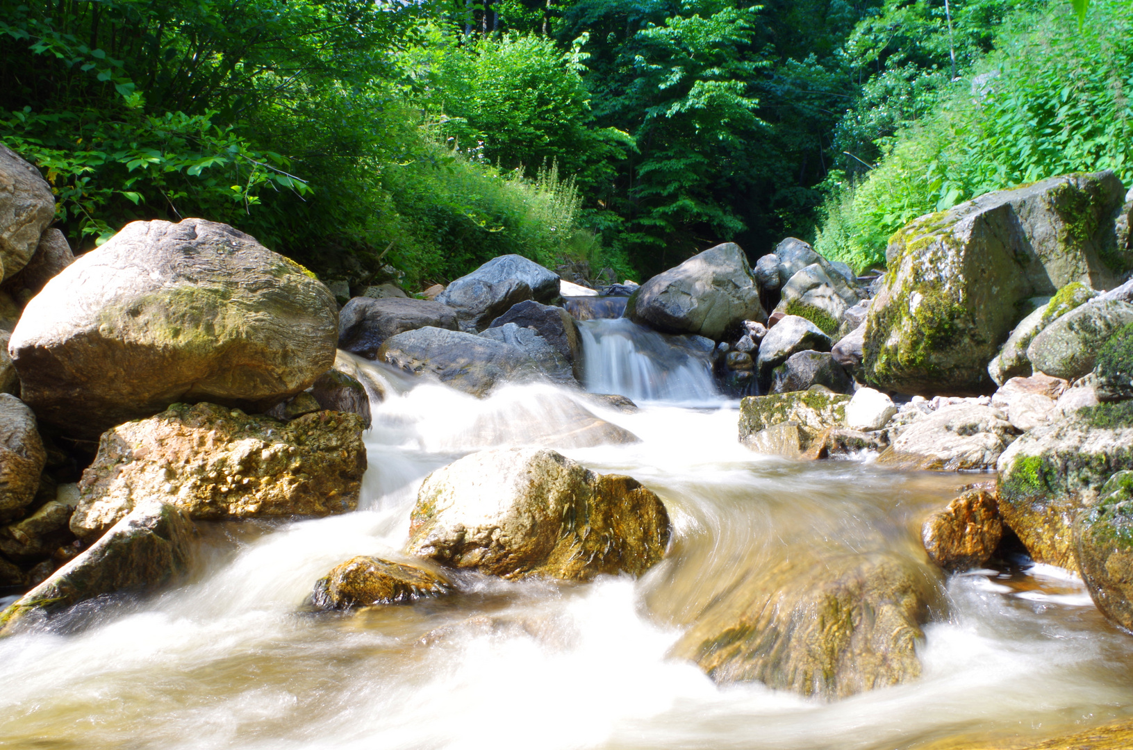 Ravena in der Ravena - Schlucht 2/5