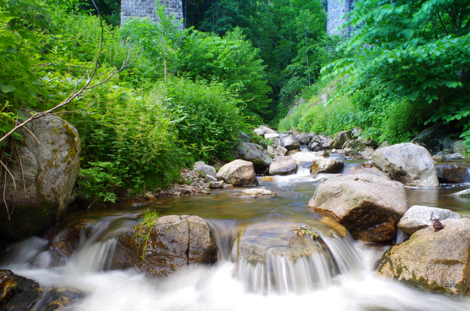 Ravena in der Ravena - Schlucht 4/5