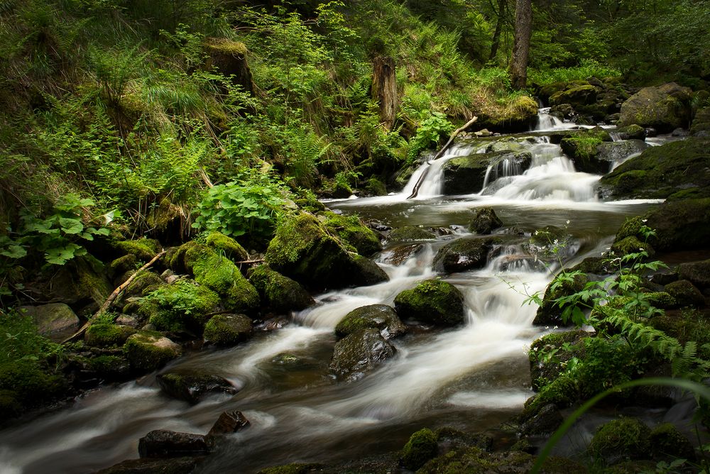 Ravenerschlucht 