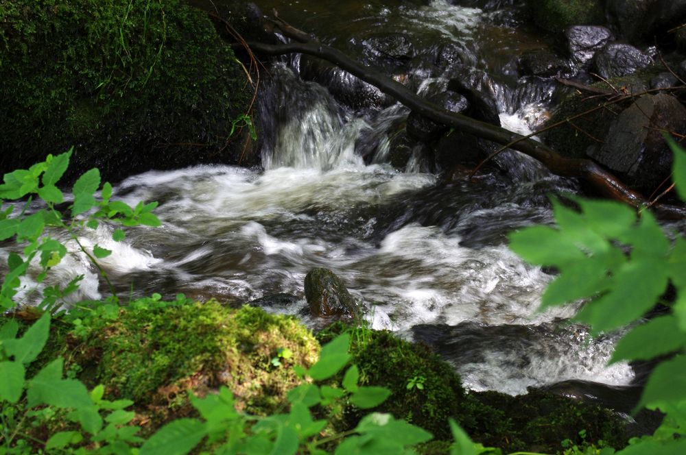 Ravenna Schlucht Foto & Bild  die elemente, natur Bilder auf fotocommunity
