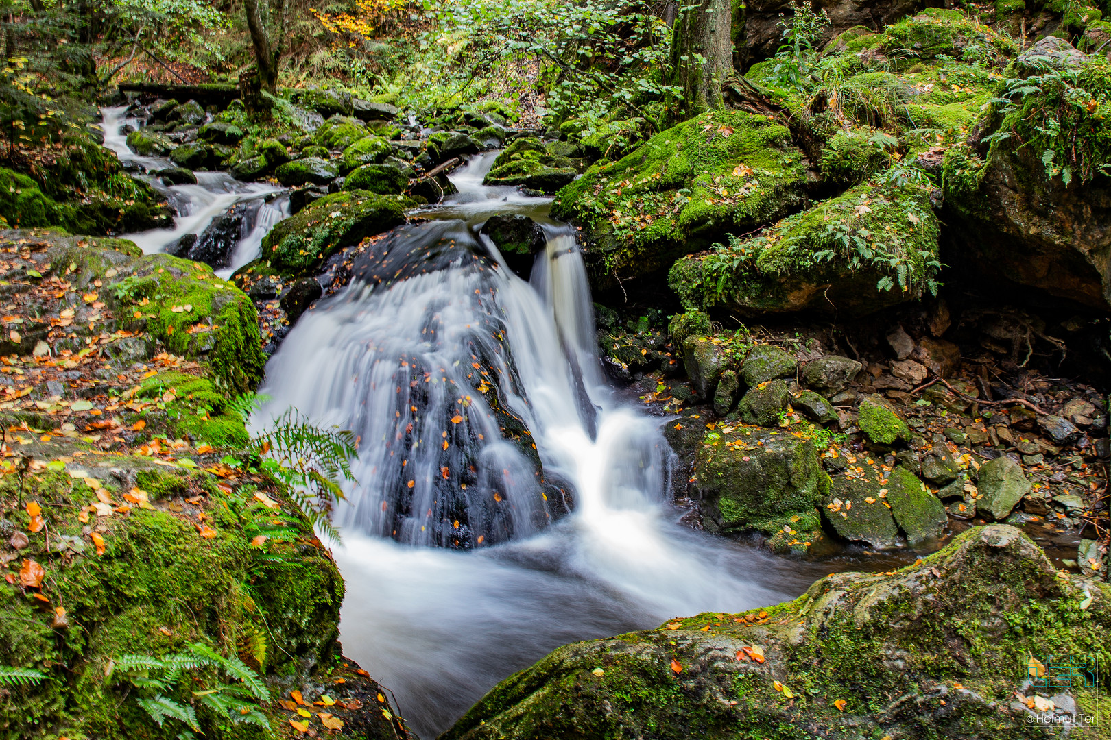 Ravenna-Schlucht im Herbst