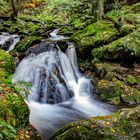 Ravenna-Schlucht im Herbst