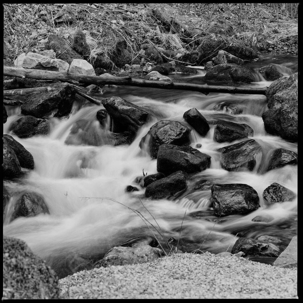 Ravennaschlucht Foto & Bild landschaft, wasserfälle, bach, fluss