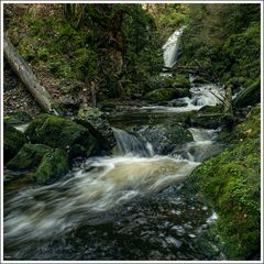 Ravennaschlucht-2024-001