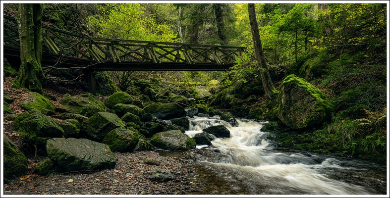 Ravennaschlucht-2024-002