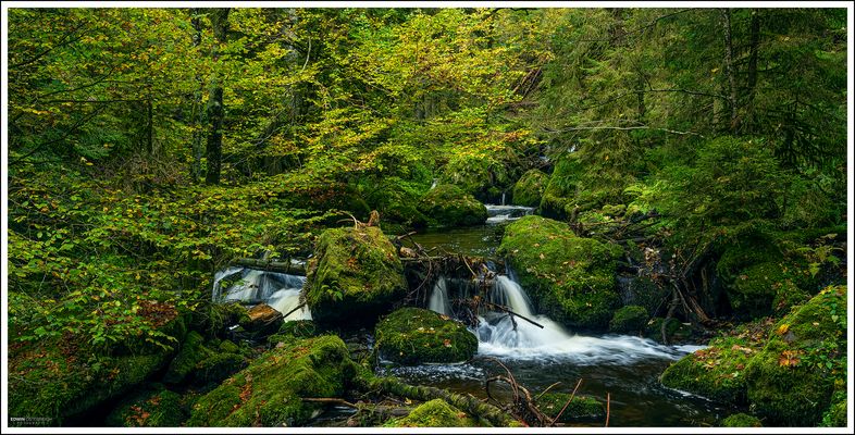 Ravennaschlucht-2024-003