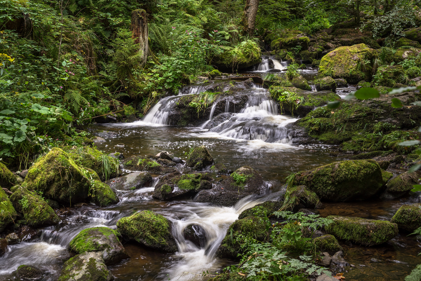 Ravennaschlucht