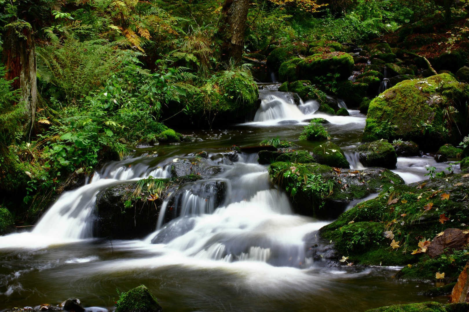 Ravennaschlucht