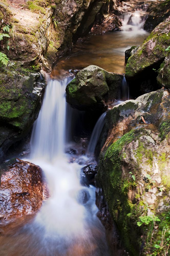Ravennaschlucht Bild & Foto von SiPe aus Deutsche Landschaften