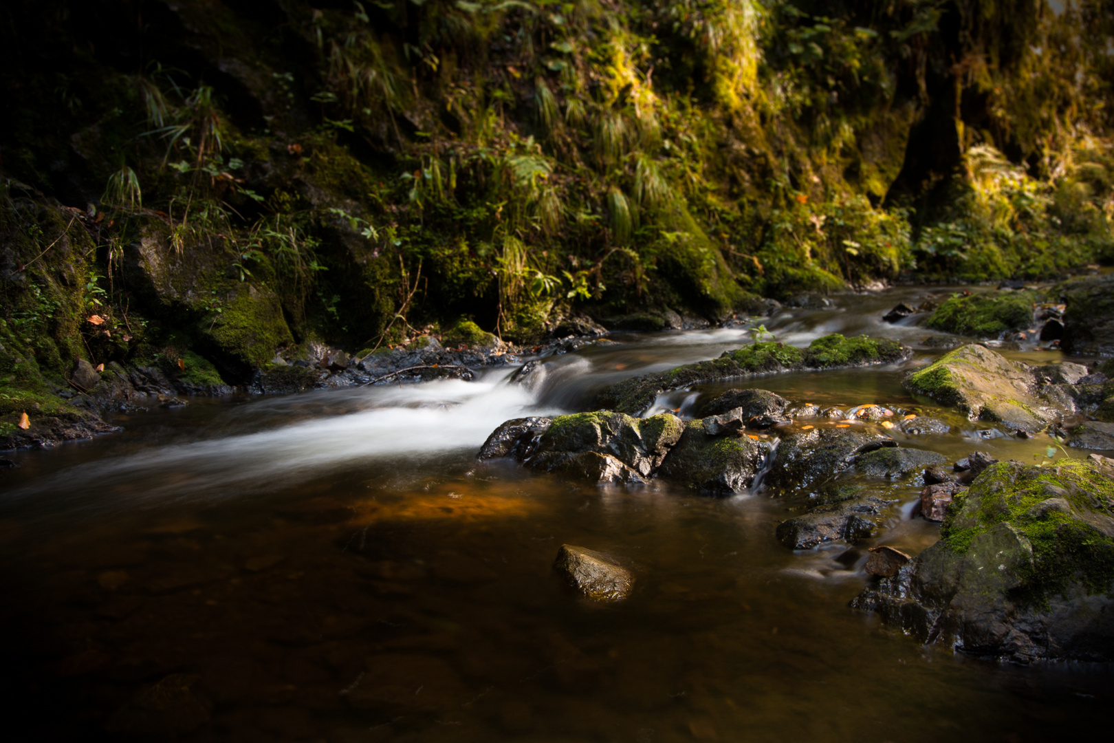 Ravennaschlucht bei Freiburg