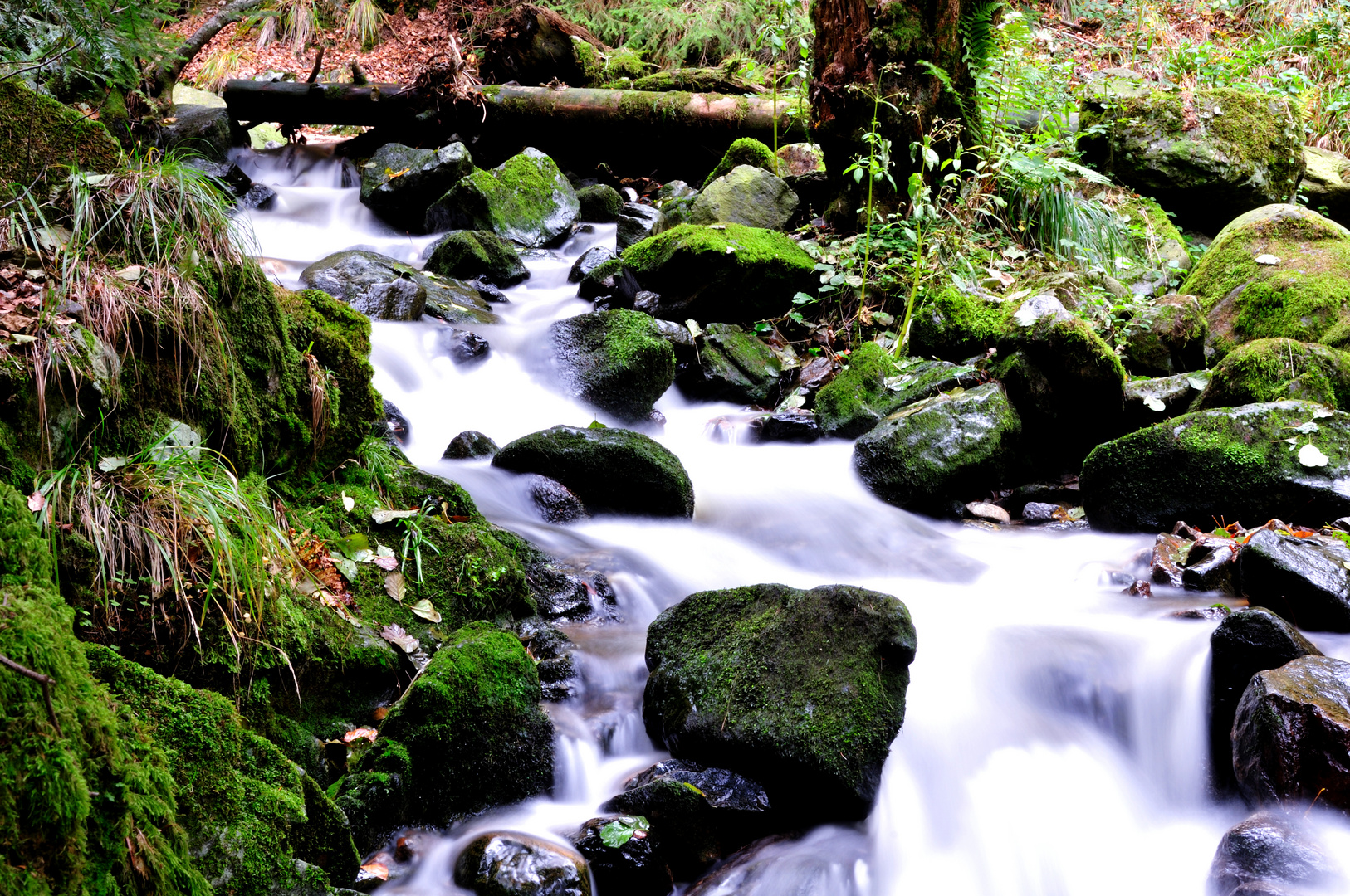 Ravennaschlucht