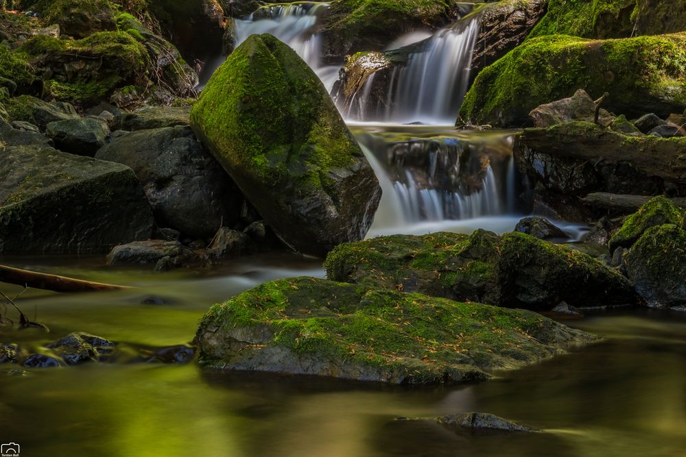 Ravennaschlucht Foto & Bild deutschland, europe, baden württemberg