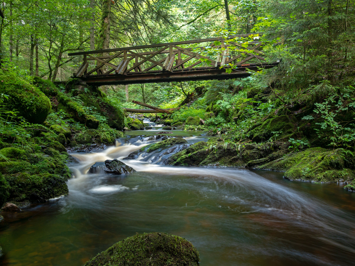 Ravennaschlucht im Schwarzwald