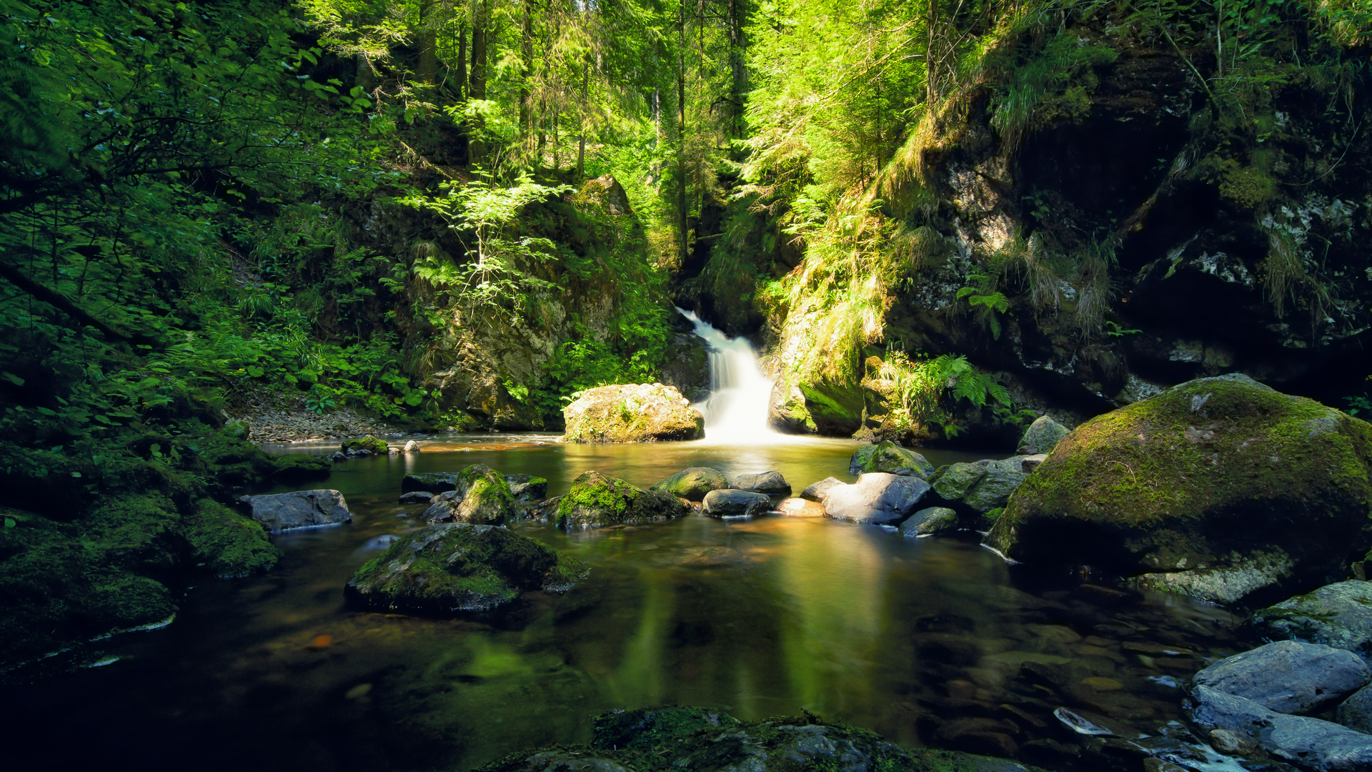 Ravennaschlucht im Sommer 2015