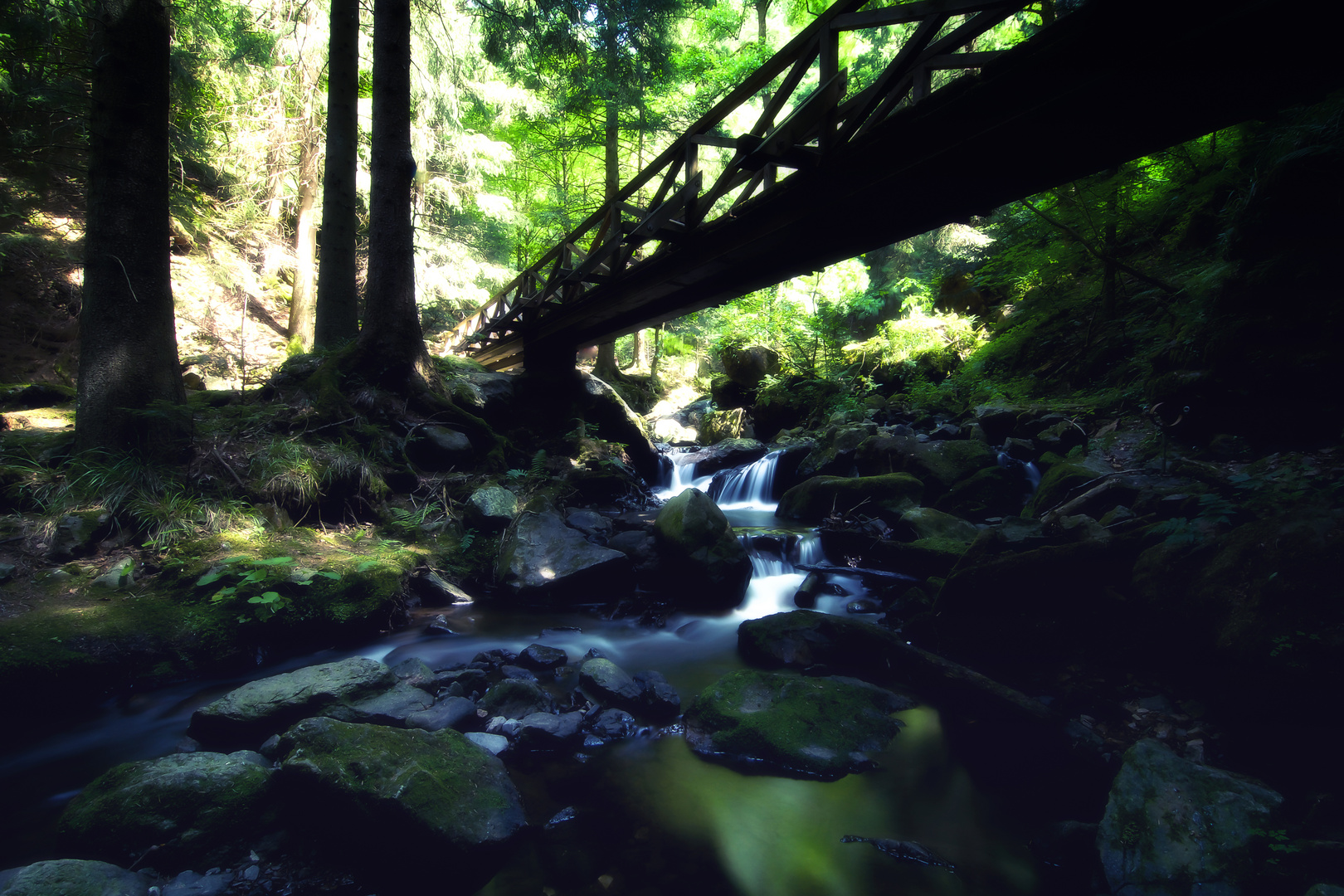 Ravennaschlucht im Sommer