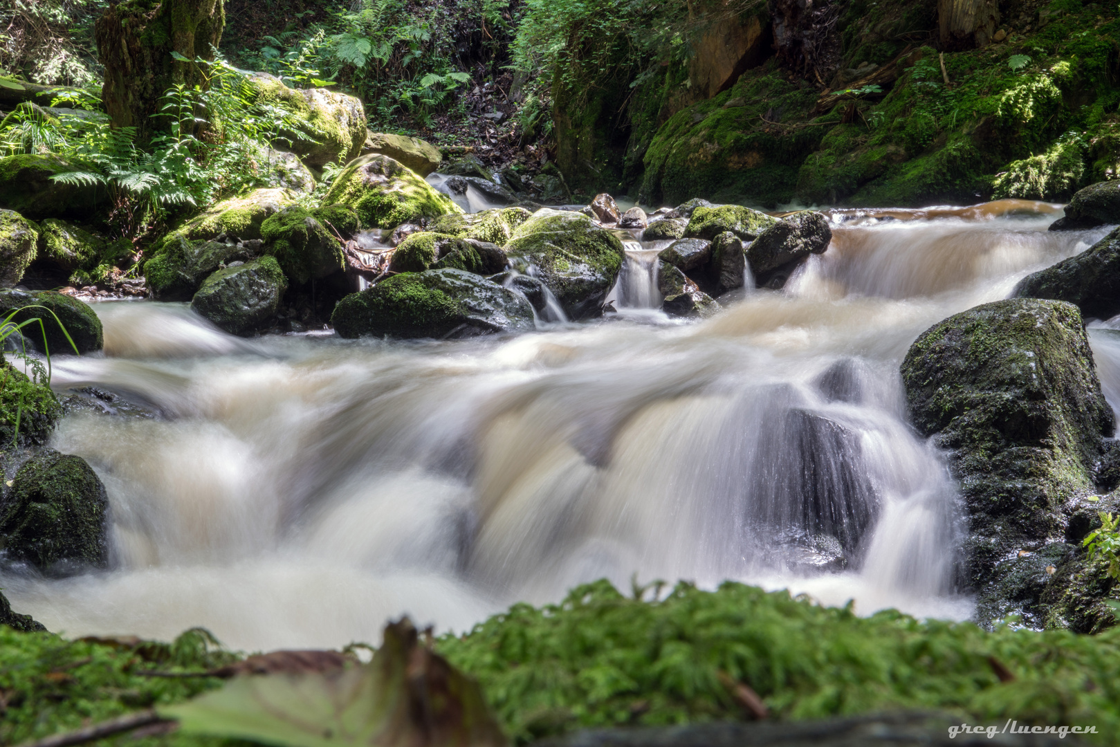 Ravennaschlucht im Sommer